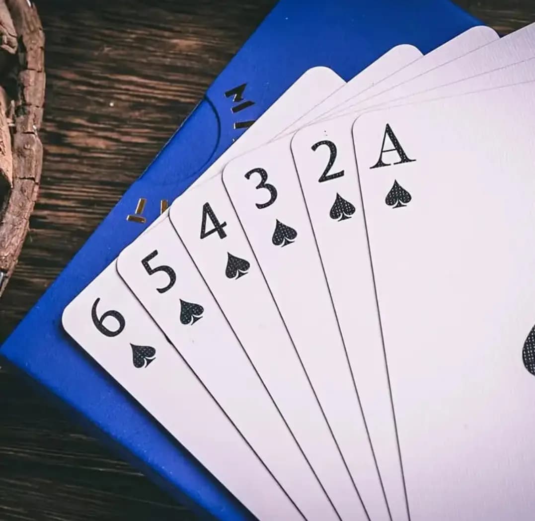 Minority (Red) Playing Cards